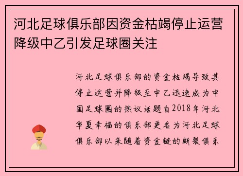 河北足球俱乐部因资金枯竭停止运营降级中乙引发足球圈关注