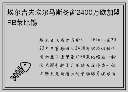 埃尔吉夫埃尔马斯冬窗2400万欧加盟RB莱比锡